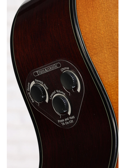 TAS1E TransAcoustic (Sand Burst), зображення 6