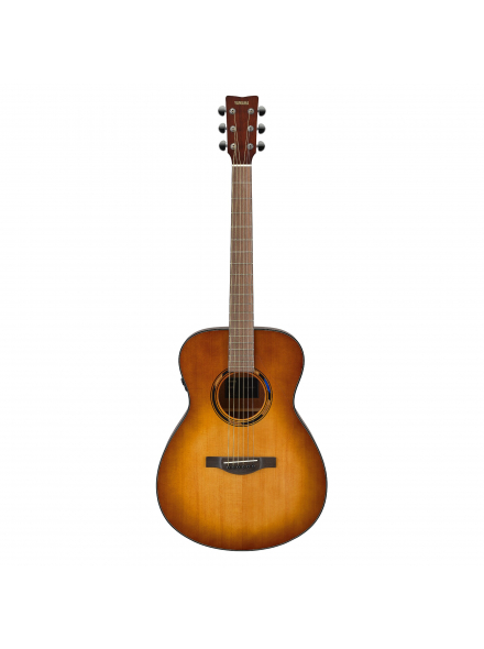 TAS1E TransAcoustic (Sand Burst), зображення 3