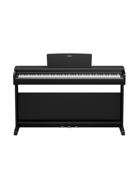 ARIUS YDP-146 (Black), зображення 2