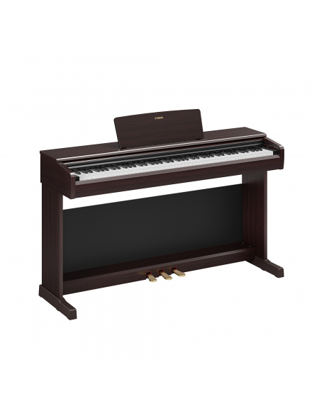ARIUS YDP-146 (Dark Rosewood), зображення 1