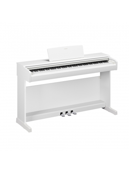 ARIUS YDP-146 (White), зображення 1