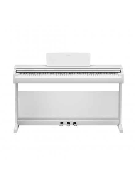 ARIUS YDP-146 (White), зображення 2