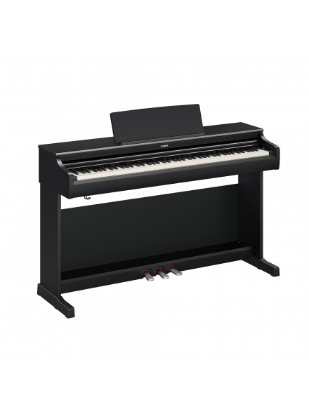 ARIUS YDP-166 (Black), зображення 1