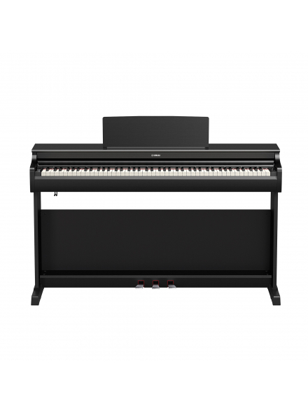ARIUS YDP-166 (Black), зображення 2