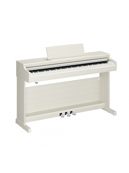 ARIUS YDP-166 (White Birch), зображення 1