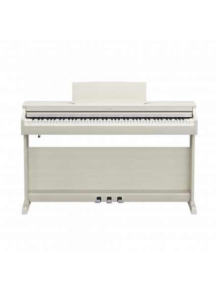 ARIUS YDP-166 (White Birch), зображення 2