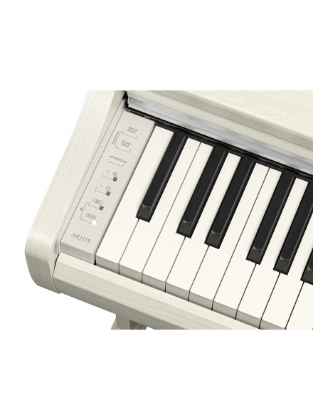 ARIUS YDP-166 (White Birch), зображення 4