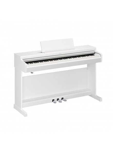 ARIUS YDP-166 (White), зображення 1