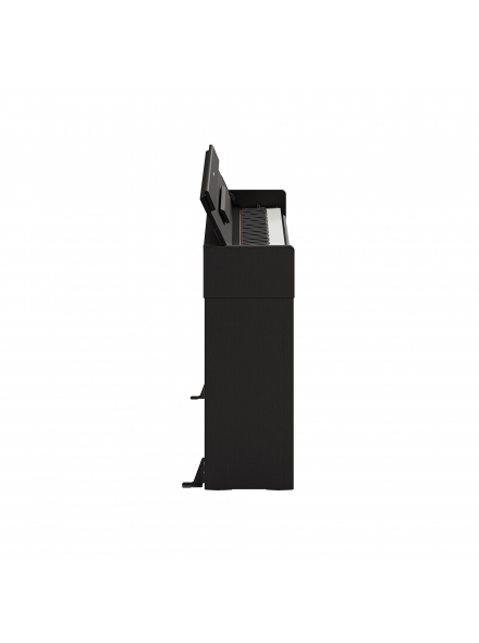 ARIUS YDP-S36 (Black), зображення 4