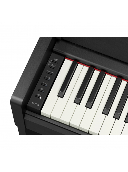 ARIUS YDP-S36 (Black), зображення 6