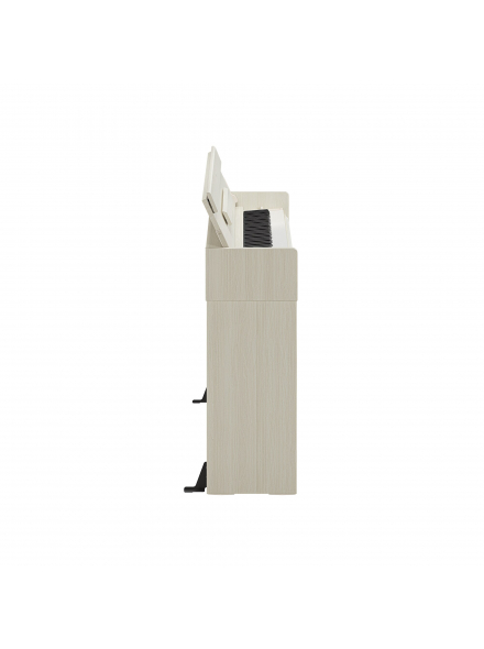 ARIUS YDP-S36 (White Birch), зображення 4