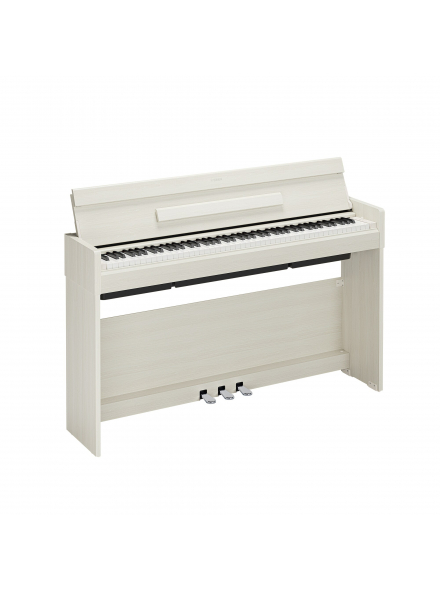 ARIUS YDP-S36 (White Birch), зображення 1