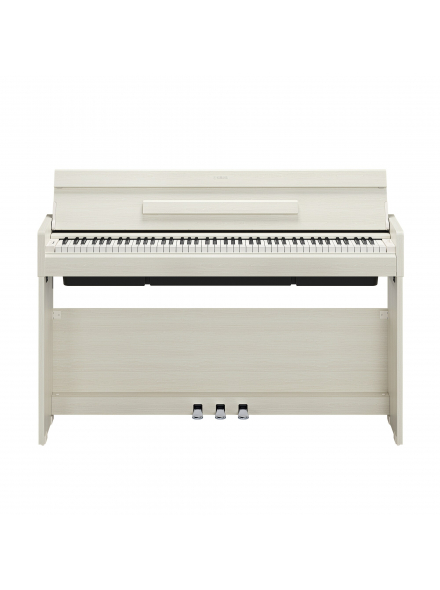 ARIUS YDP-S36 (White Birch), зображення 2