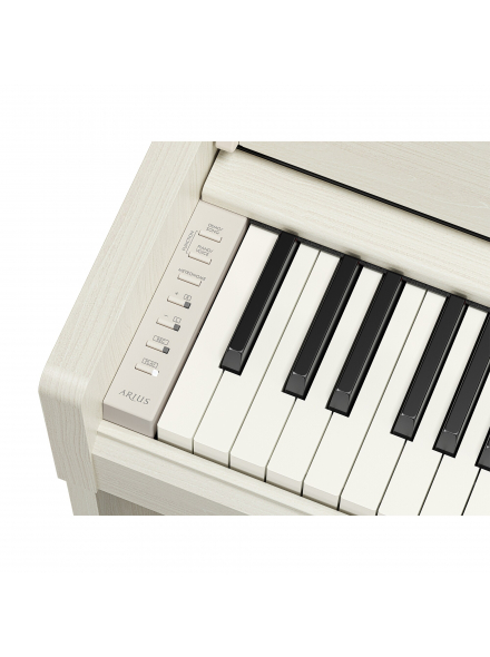 ARIUS YDP-S36 (White Birch), зображення 6
