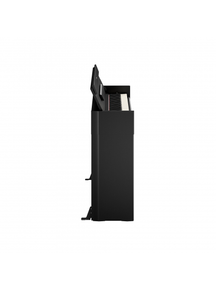 ARIUS YDP-S56 (Black), зображення 4