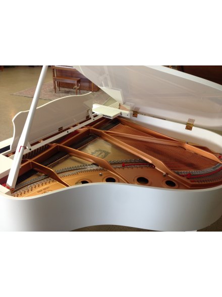 DGC1 E3 (PWH), зображення 3