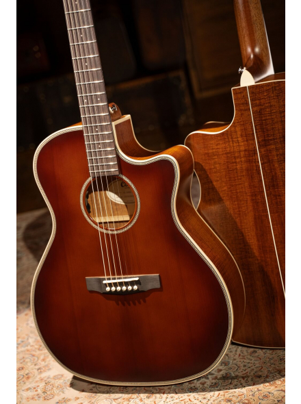 Essence-GA4 Special (Brown Burst Semi Gloss), зображення 8