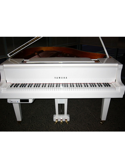 DGC1 E3 (PWH), зображення 6