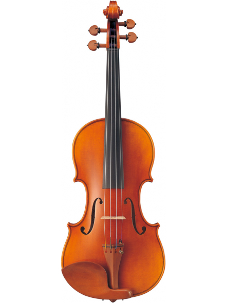 BRAVIOL V20SG 4/4, зображення 1