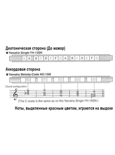 15M, зображення 3