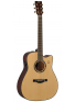 TAG3 C TransAcoustic (Natural), зображення 1