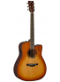 TAG3 C TransAcoustic (Sand Burst), зображення 1