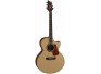 NDX20 (Natural), зображення 1