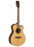 TAS1C TransAcoustic (Natural), зображення 1