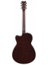 TAS1C TransAcoustic (Sand Burst), зображення 5