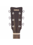 TAS1C TransAcoustic (Sand Burst), зображення 8