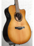 TAS1C TransAcoustic (Sand Burst), зображення 3