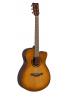TAS1C TransAcoustic (Sand Burst), зображення 1