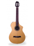 Variax Acoustic 300 Nylon, зображення 1