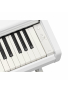 ARIUS YDP-146 (White), зображення 3