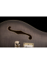 SE Hollowbody II (Charcoal Burst), зображення 4