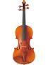 BRAVIOL V20SG 4/4, зображення 1