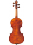BRAVIOL V20SG 4/4, зображення 2