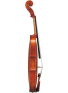 BRAVIOL V20SG 4/4, зображення 3