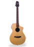 Variax Acoustic 300 Steel, зображення 1