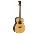 TAS1C TransAcoustic (Natural), зображення 1