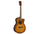 TAS1C TransAcoustic (Sand Burst), зображення 1