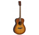 TAS1E TransAcoustic (Sand Burst), зображення 1