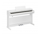 ARIUS YDP-166 (White), зображення 1