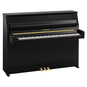 B10 (Polished Ebony), зображення 1
