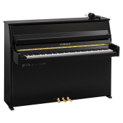 B10 SC3 (Polished Ebony), зображення 1