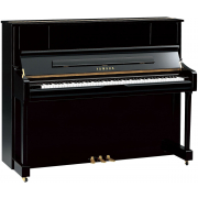 U1J (Polished Ebony), зображення 1