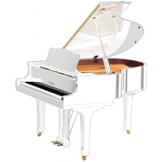 C1 (Polished White), зображення 1