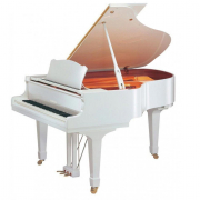 GC1 (Polished White), зображення 1