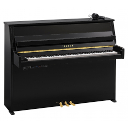 B10 SC3 (Polished Ebony), зображення 1