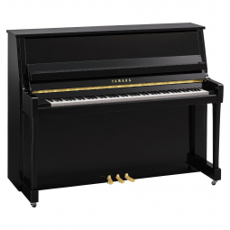 B20 (Polished Ebony), зображення 1
